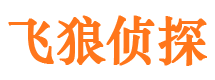 高平婚外情调查取证